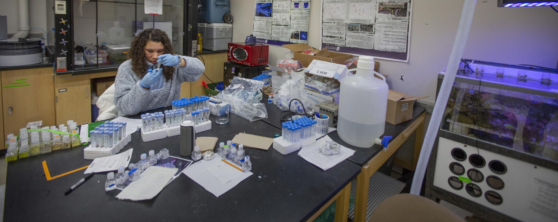 A student tests water samples in a lab.